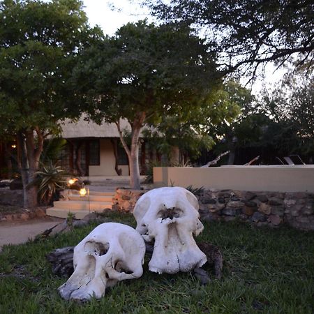 Kambaku Safari Lodge Timbavati Game Reserve Exterior photo