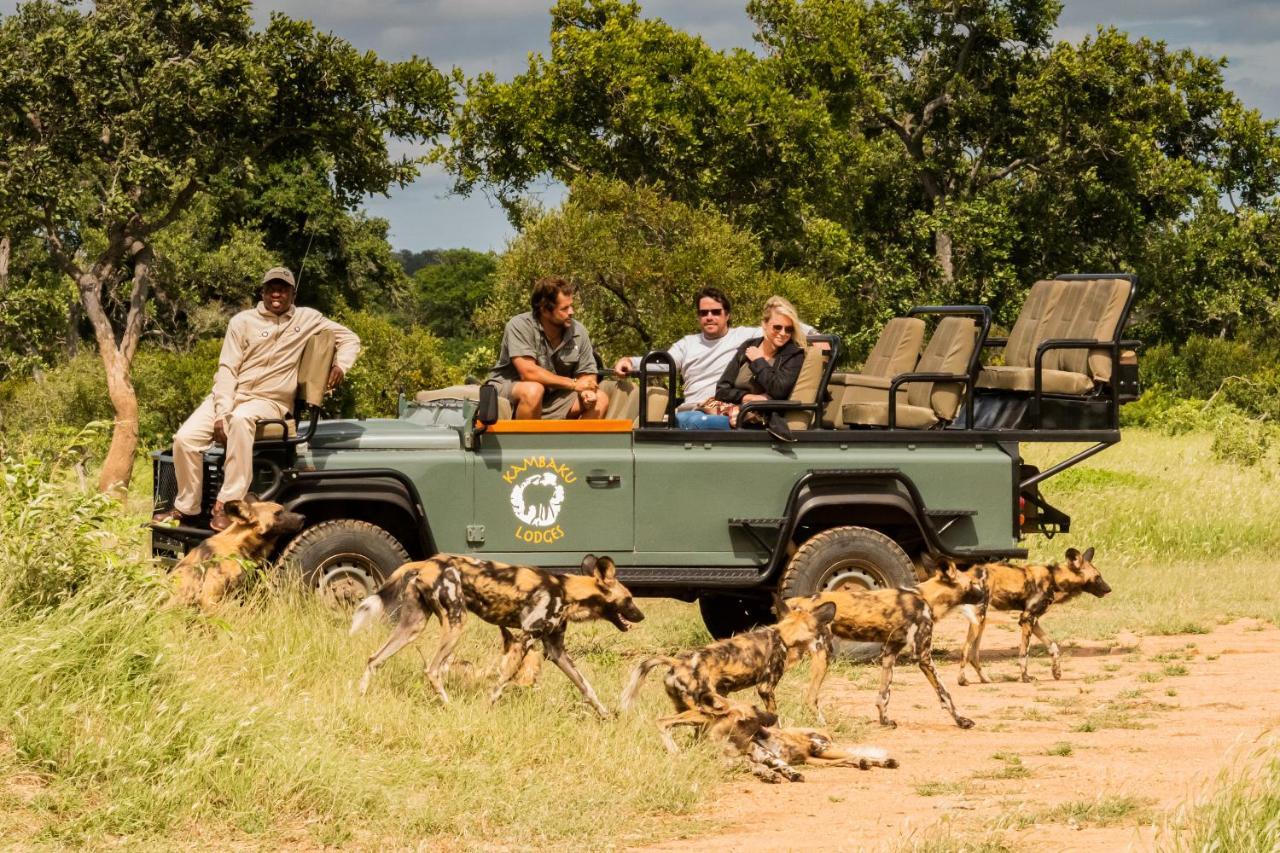Kambaku Safari Lodge Timbavati Game Reserve Exterior photo