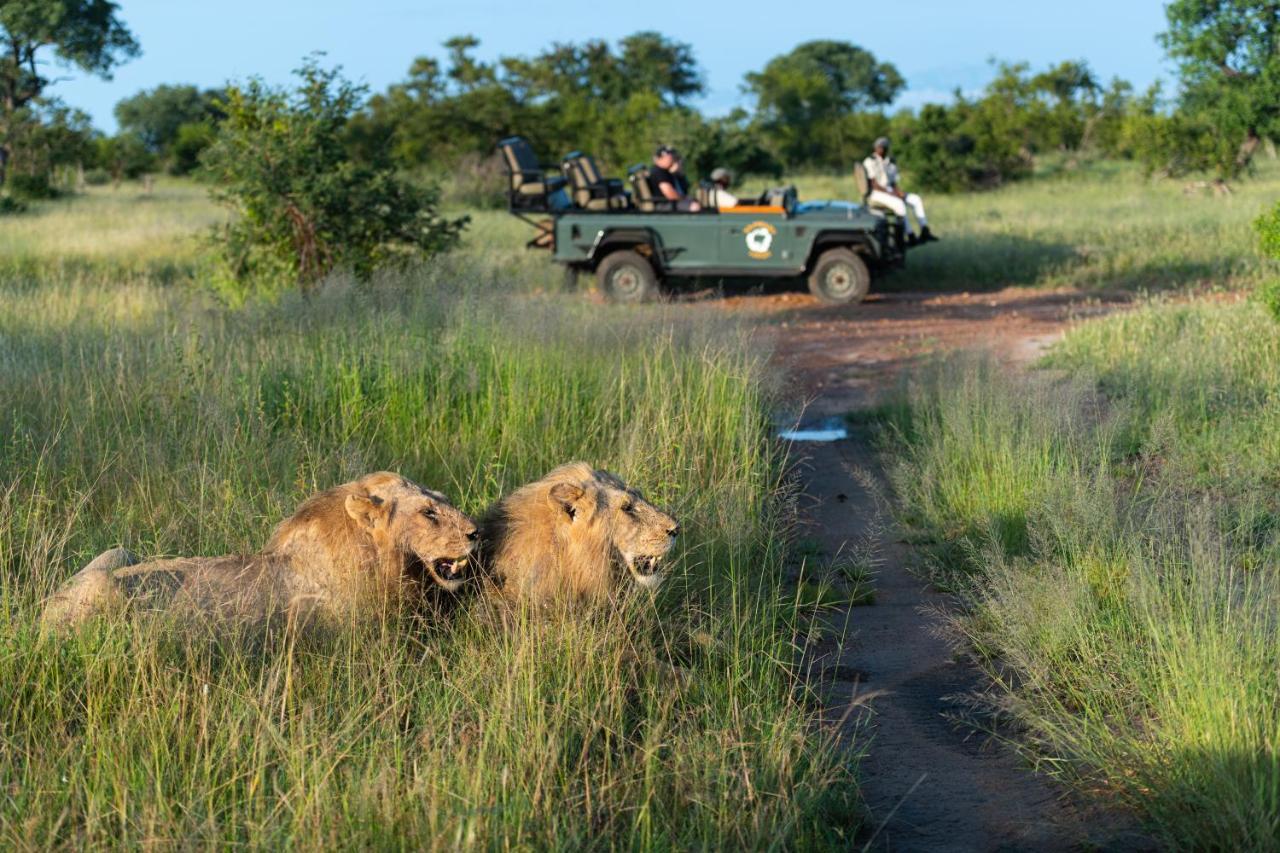 Kambaku Safari Lodge Timbavati Game Reserve Exterior photo