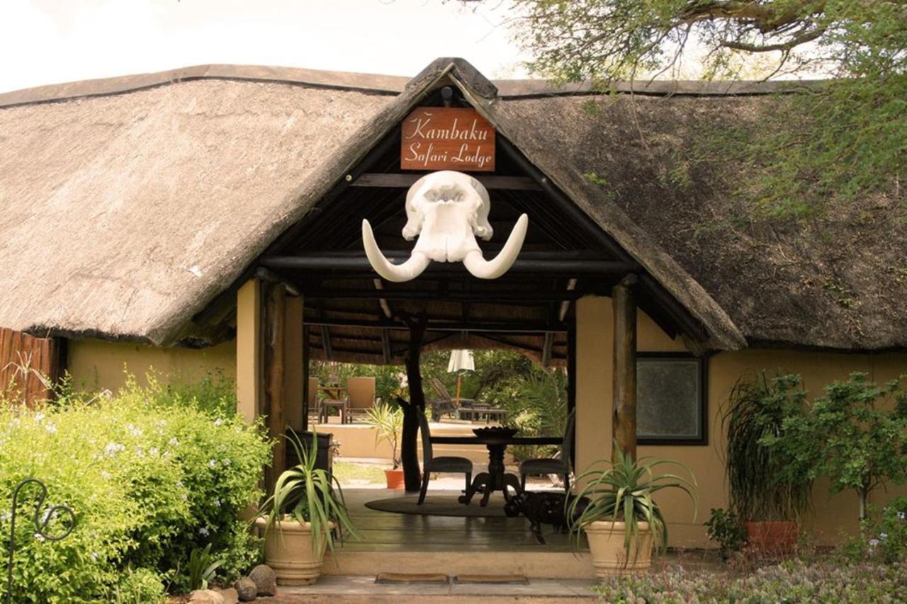 Kambaku Safari Lodge Timbavati Game Reserve Exterior photo