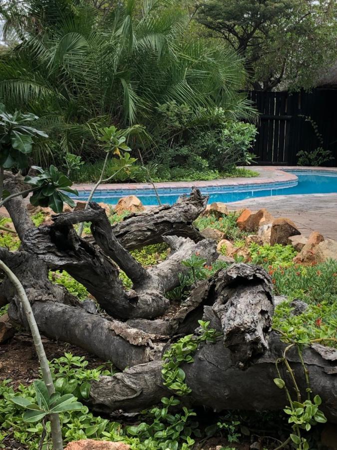 Kambaku Safari Lodge Timbavati Game Reserve Exterior photo