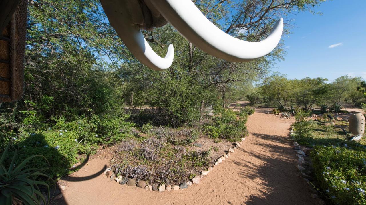 Kambaku Safari Lodge Timbavati Game Reserve Exterior photo