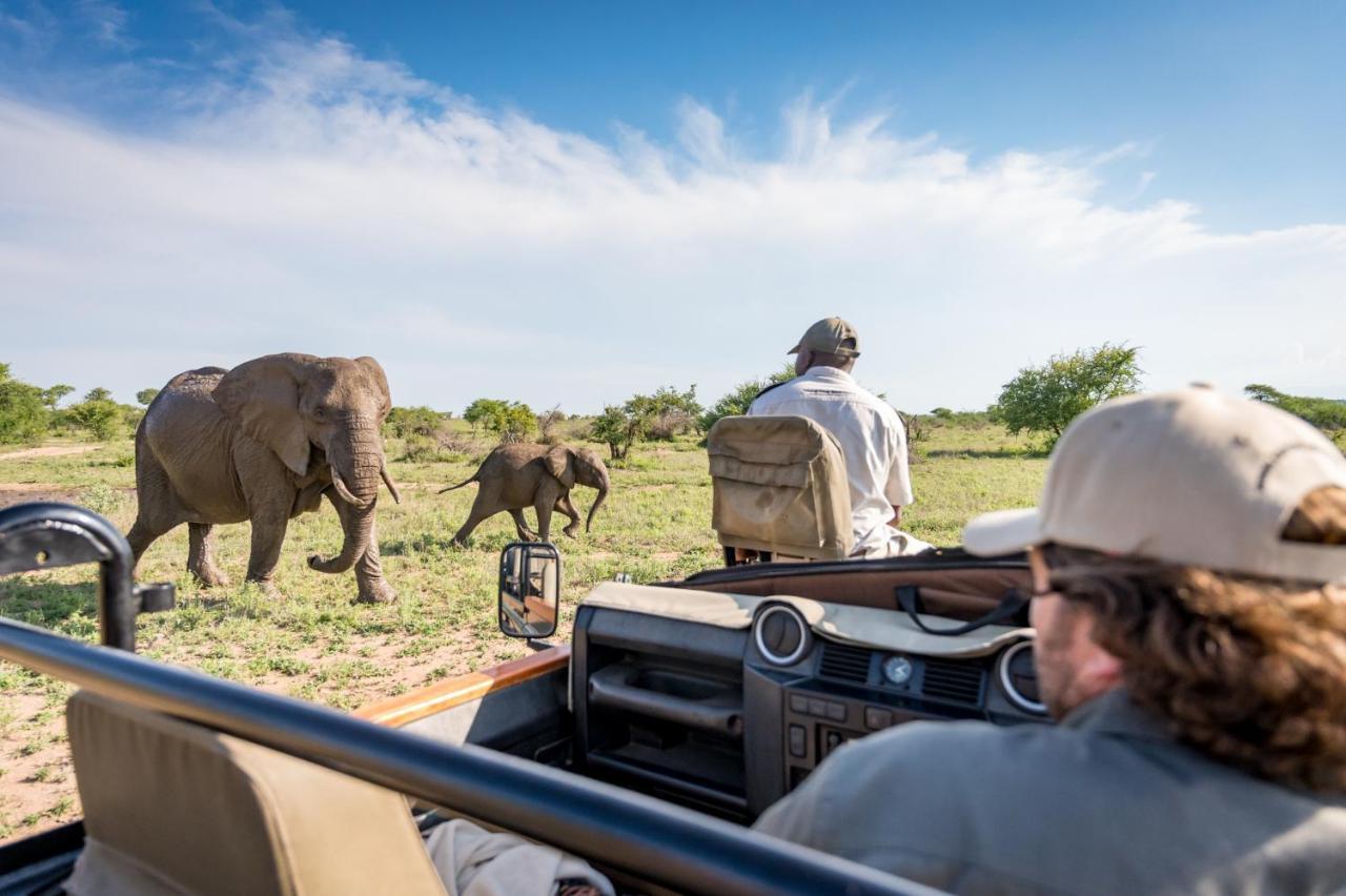 Kambaku Safari Lodge Timbavati Game Reserve Exterior photo