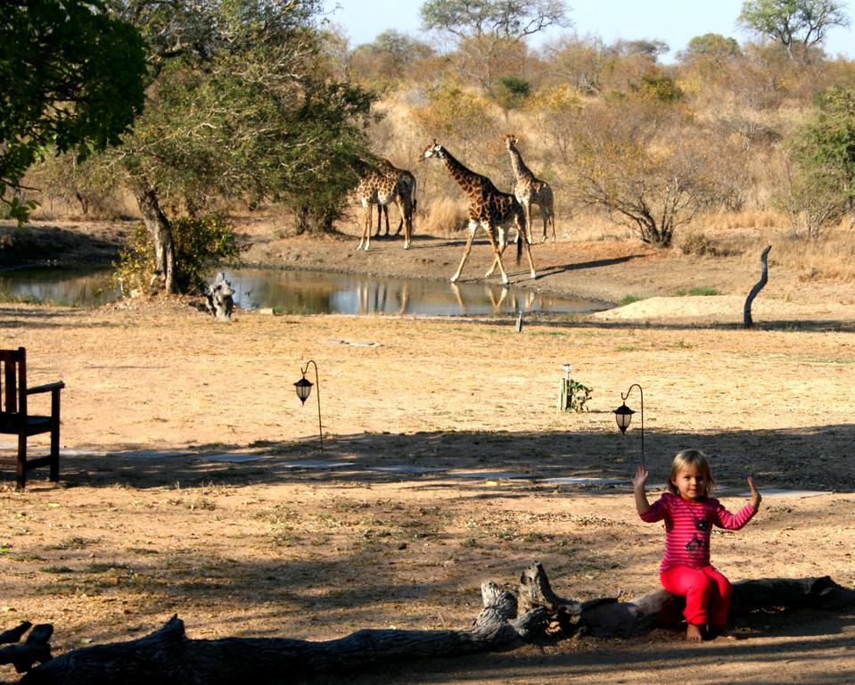 Kambaku Safari Lodge Timbavati Game Reserve Exterior photo
