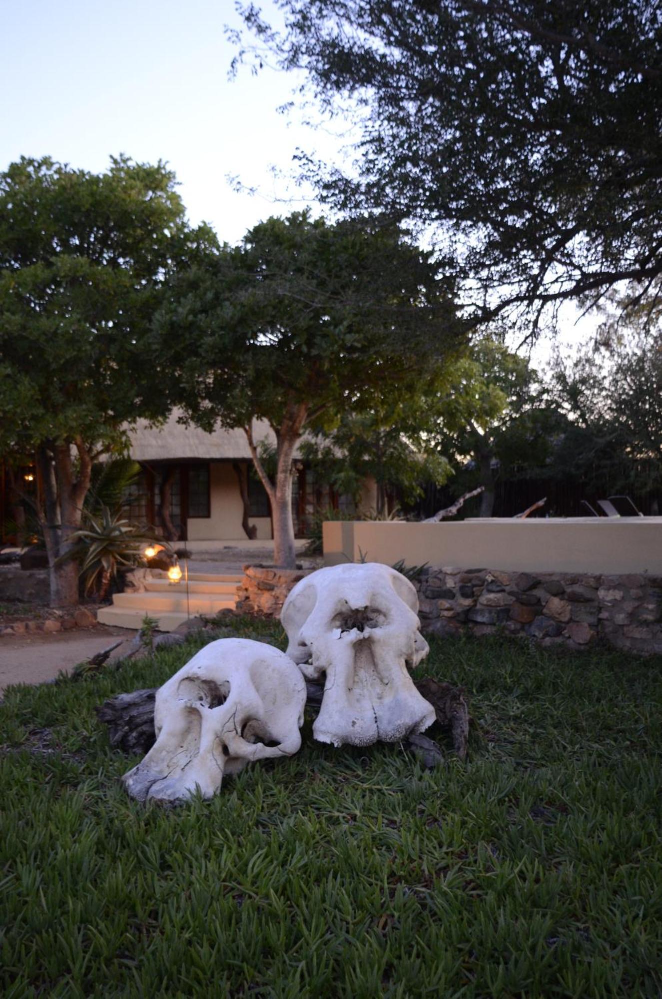 Kambaku Safari Lodge Timbavati Game Reserve Exterior photo