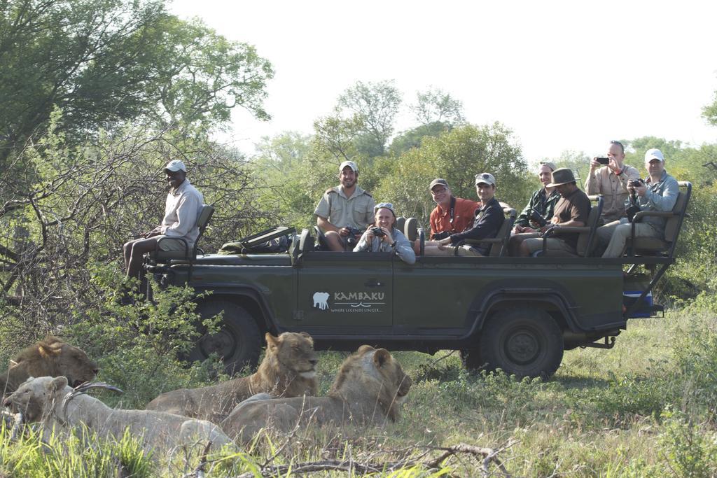 Kambaku Safari Lodge Timbavati Game Reserve Exterior photo